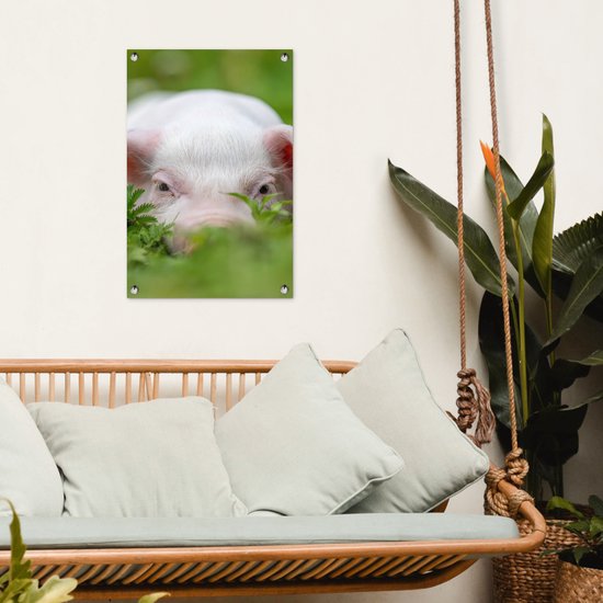 Affiche de jardin - Cochon - Herbe - Animaux - Vert - Jardin - Peinture de jardin - 40x60 cm - Décoration murale - Décoration murale - Toile de jardin - Affiche d'extérieur