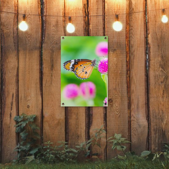 Affiche jardin - Papillon - Insectes - Fleurs - Fauna - Décoration de jardin - 40x60 cm - Toile jardin