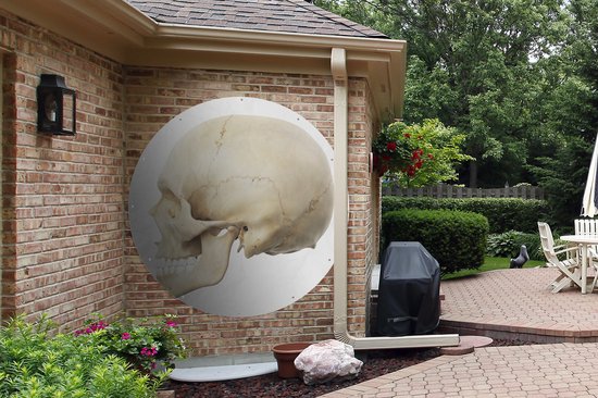 Cercle de jardin dessin de tête de mort réalisé par ordinateur - 150x150 cm - Affiche de jardin ronde - Extérieur