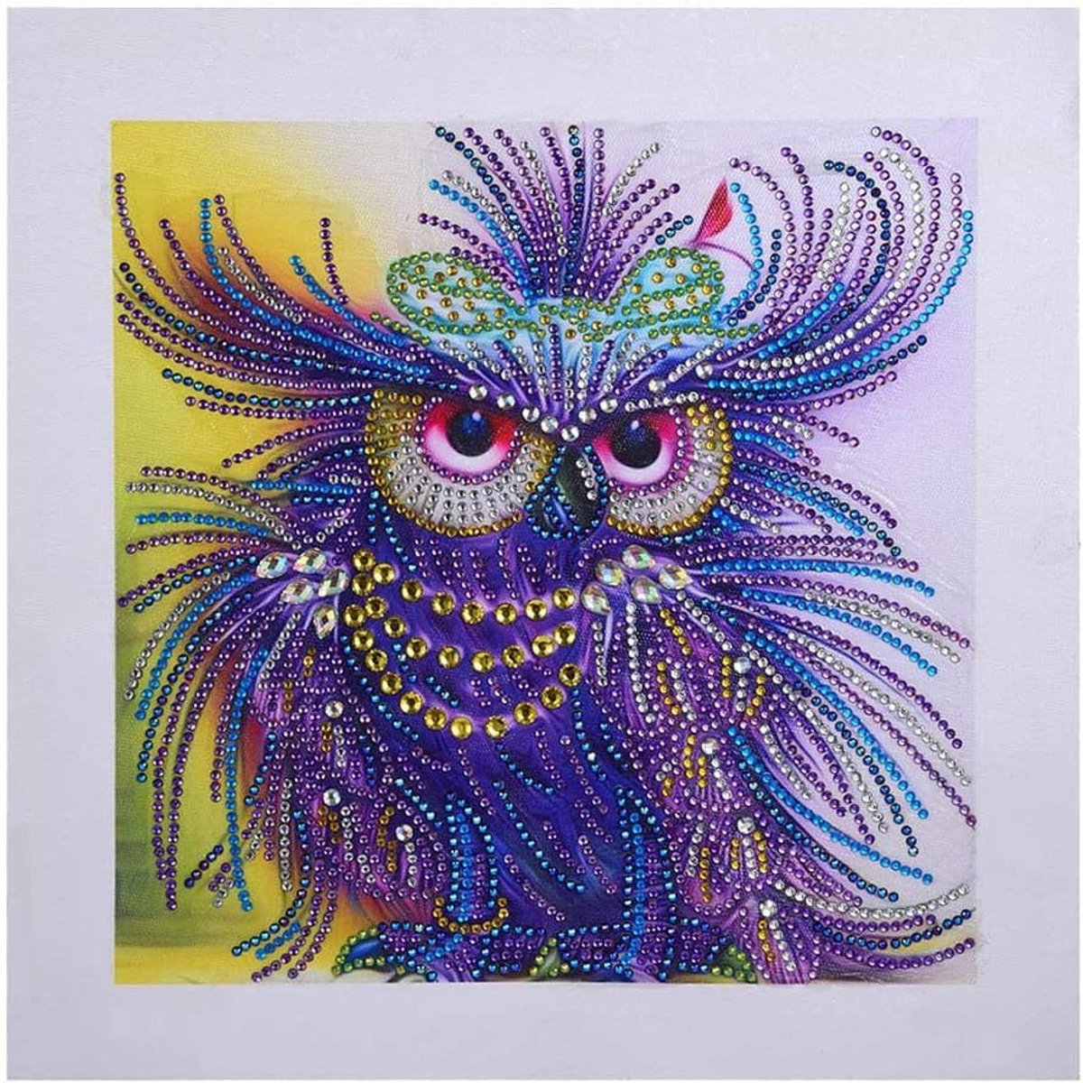 Speciale Vorm Diamant Schilderen met Rhinestones, DIY 5D Schilderij met Uil Motief, Creatieve Ambachten en Decoratie 30x30