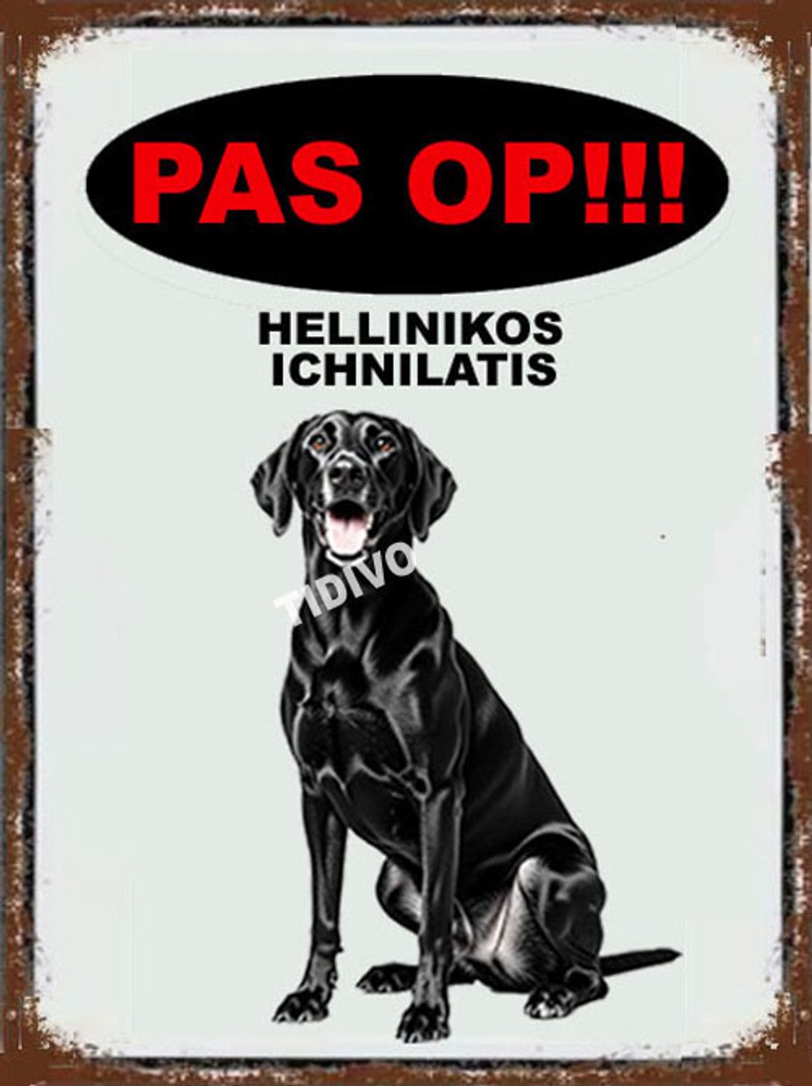 Hellinikos Ichnilatis 17