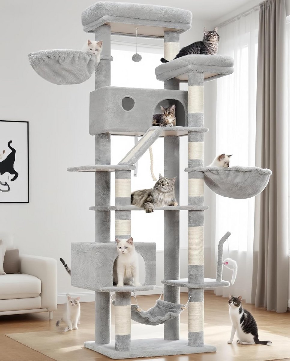 Krabpaal voor Grote Katten - Krabton - Kattenhuis - Activiteit