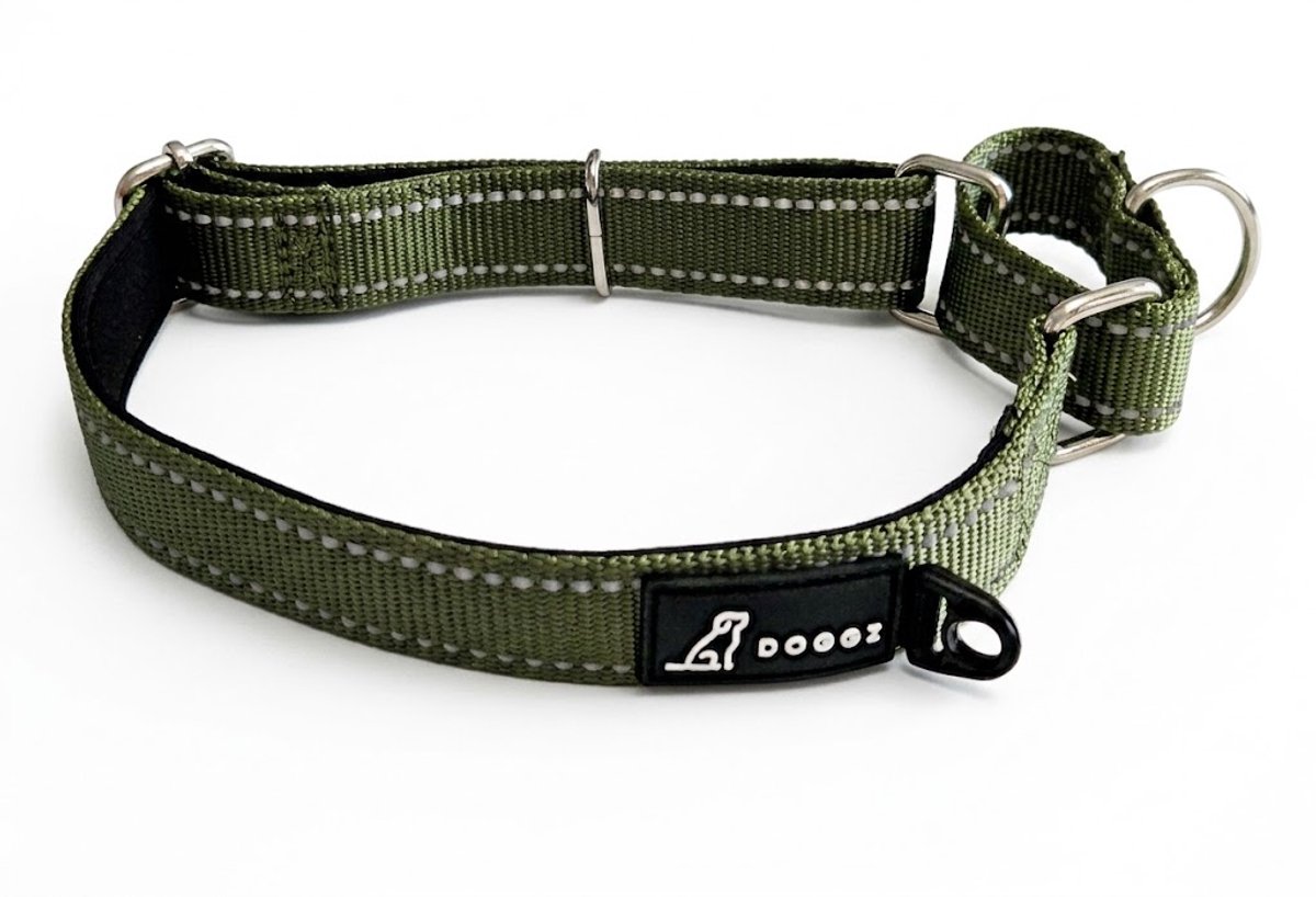 Doggz - Hondenhalsband – Verstelbare Ontsnappingsbestendige Halsband – Anti-trek – Neopreen Gevoerd – Reflecterend - Groen - M - halsband hond