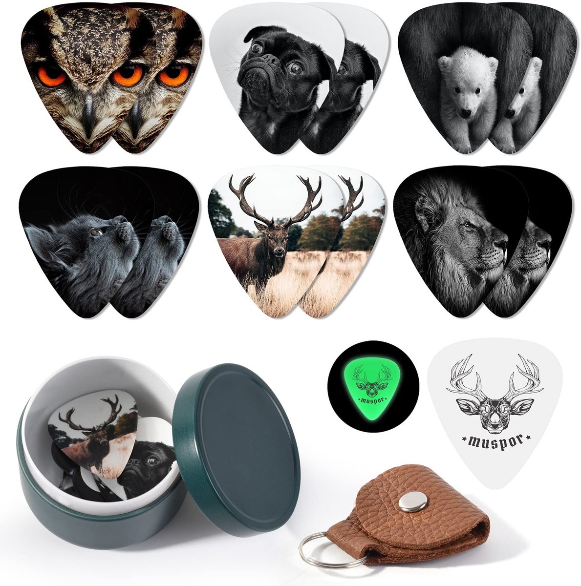 Dailygoods - Set van 13 Celluloid Gitaar Plectrums met Doos en Houder