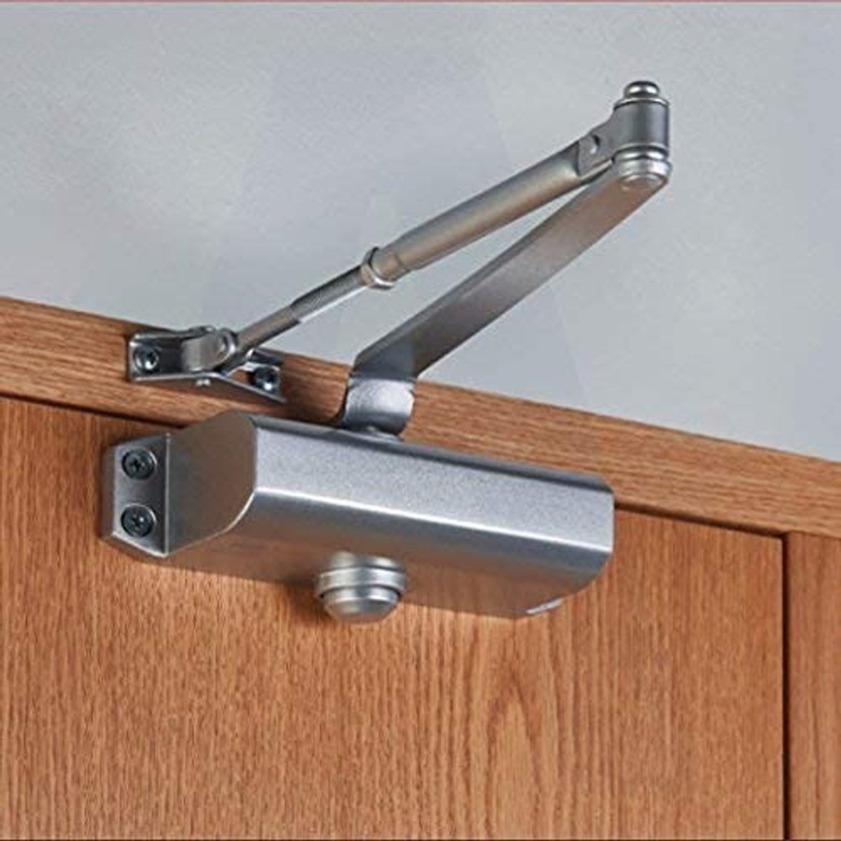 Dailygoods - Dailygoody - Automatische Deursluiter - Verstelbare Hydraulische Deurdranger - Voor Deurgewicht tot 45 kg - Zilver - Ideaal voor Thuis en Kantoor
