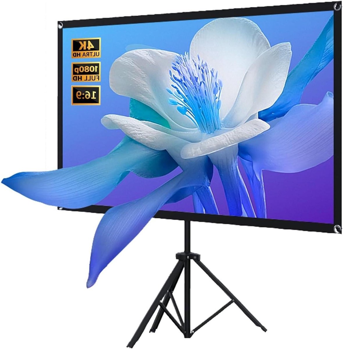 Draagbaar Projectiescherm - Filmscherm Opvouwbaar - Thuisbioscoop Creëren - 4K Ultra HD - 80 inch 16:9 - Zwart