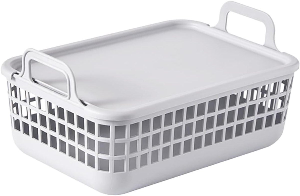 Wasmand Organizer - Opbergmand Handvat - Thuis Organiseren - Met Deksel - 33x23.5x16.3cm - Grijs