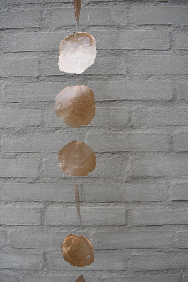 Capiz slinger / hanger ByBazz Bruin 190 cm - ruwe schelpenslinger - Decoratie - Ibiza / Boho - wanddecoratie schelpenhanger - Capiz woonslinger - Capiz hanger.