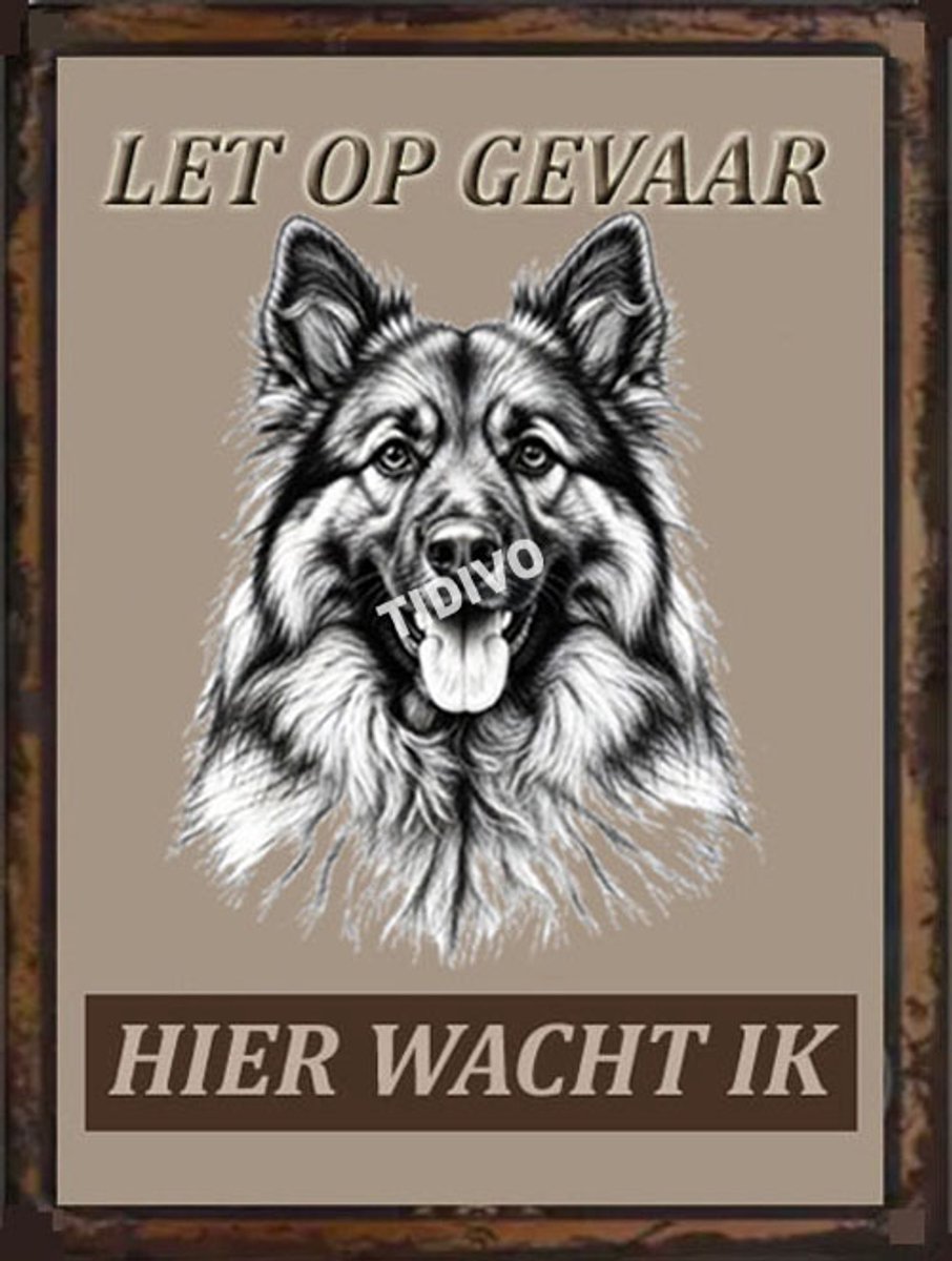 Eurasier 18
