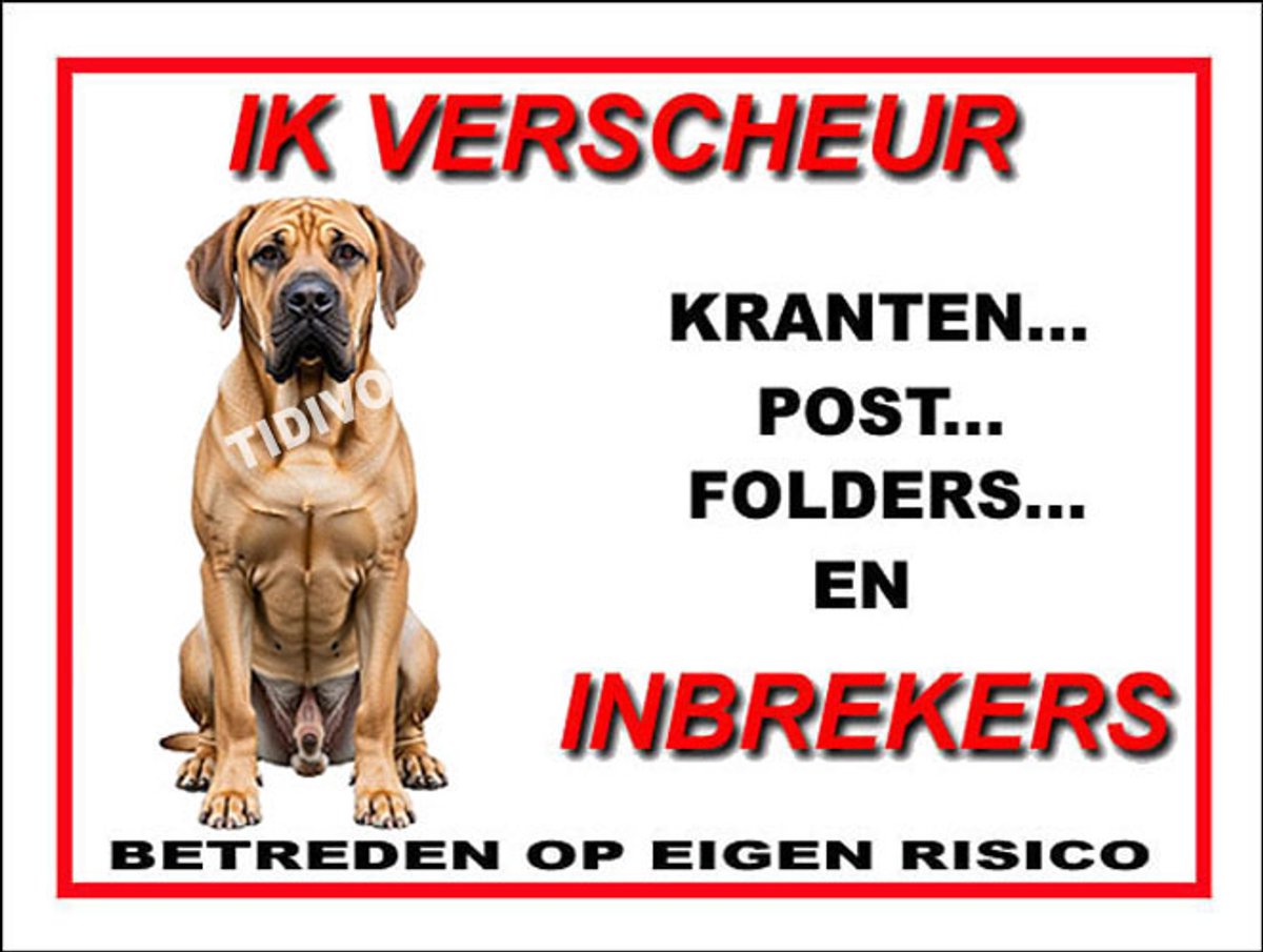 Fila Brasileiro 8