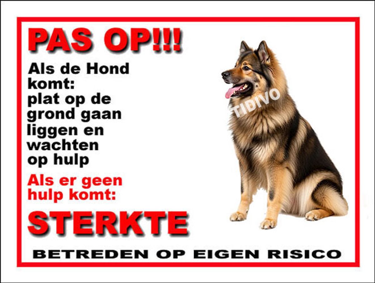 Eurasier 12
