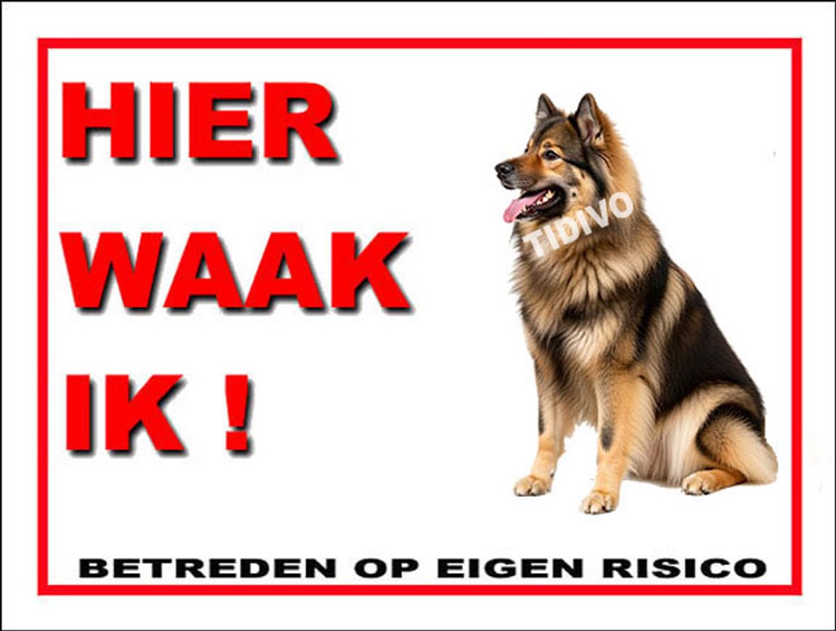 Eurasier 3