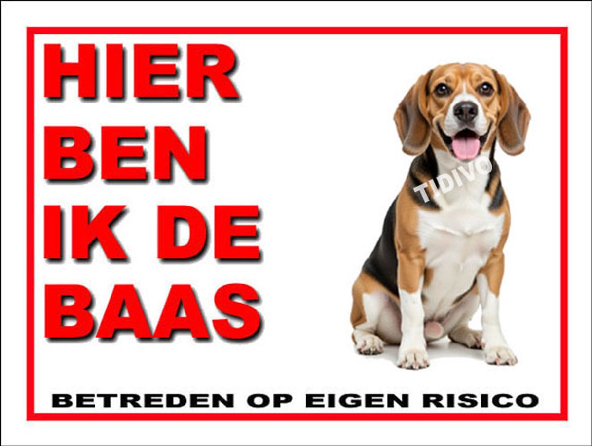 Finse Brak 2