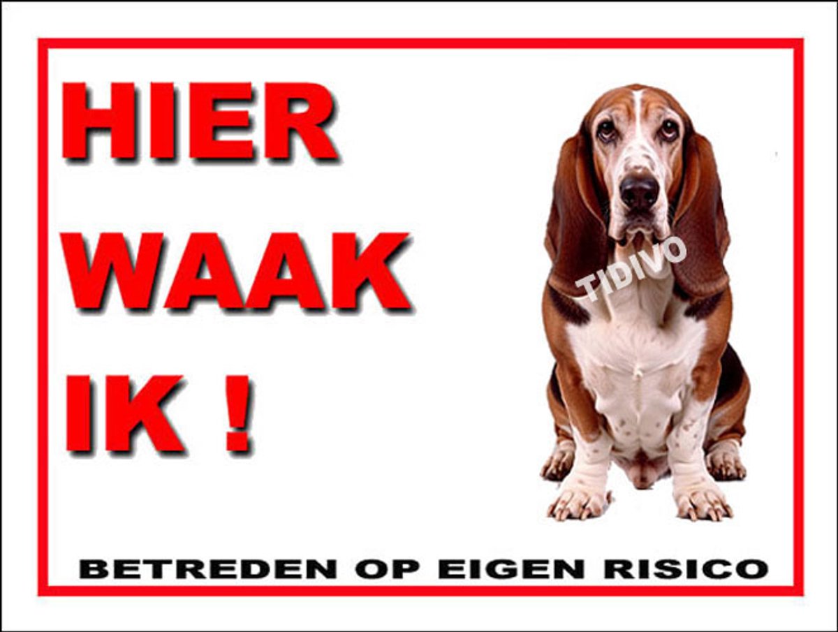 Duitse Brak 3