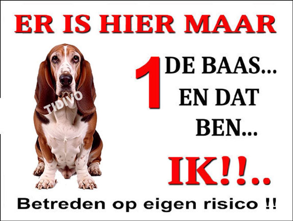 Duitse Brak 26