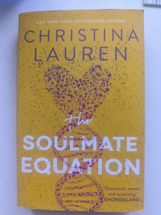 The Soulmate Equation - cover