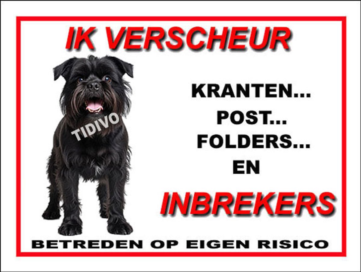 Griffon Belge 8