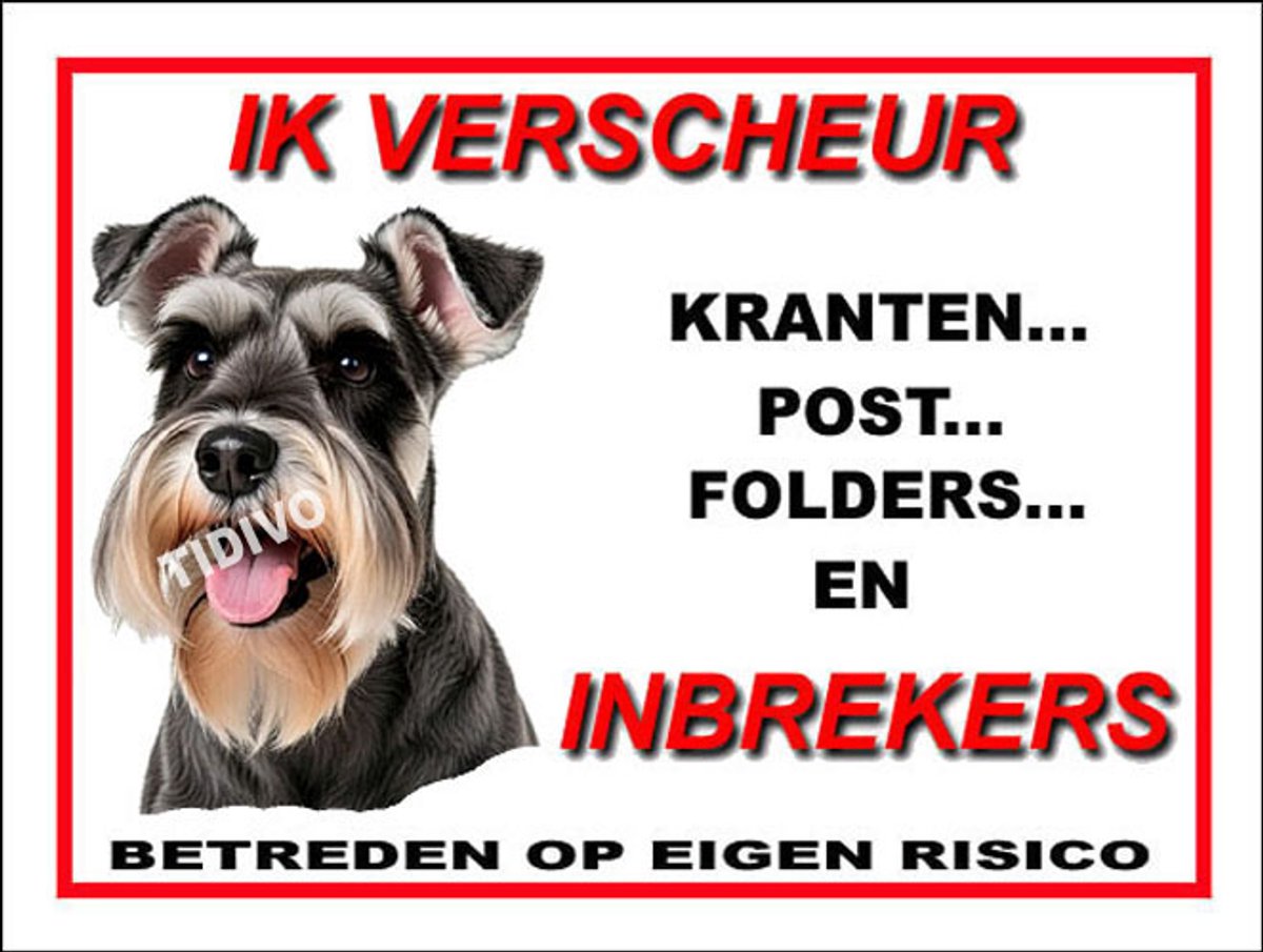 Dwergschnauzer 8