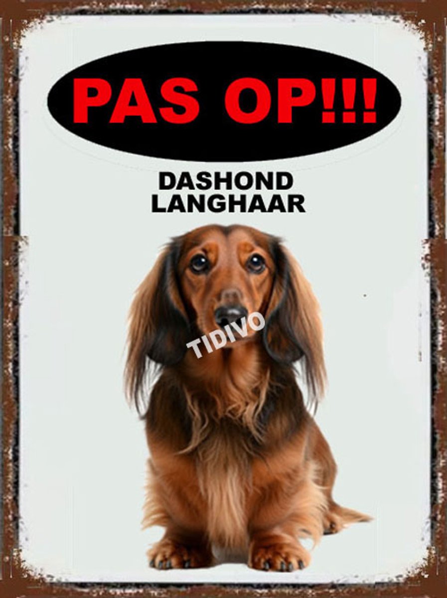 Dashond, Langhaar 17