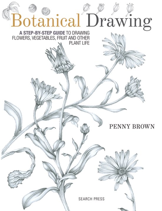 Botanical Drawing - cover