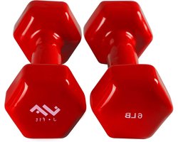 J-Fit JFIT 2,7 kg Vinyl Halter, Rood, Pack van twee