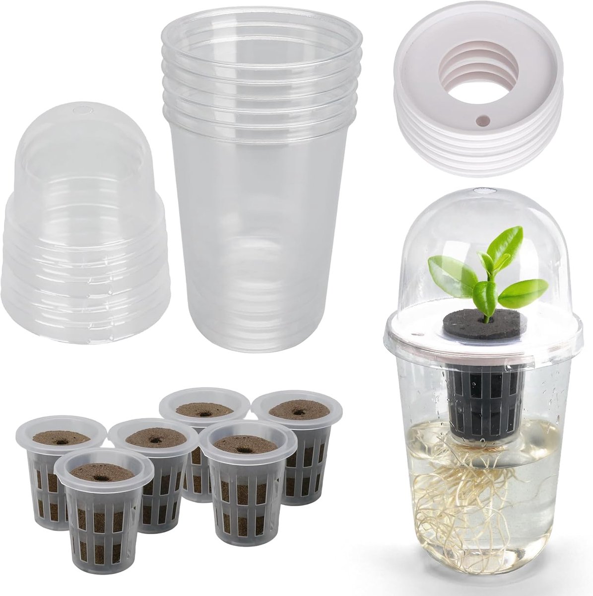 Zaadpotjes - 6 stuks - Bloempotten - Hydroponische zaadpotjes - Zaailingset - Plantintroductie - Hydroponische bloempotten - Voor het opkweken van zaadjes - Transparant