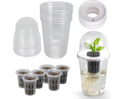 Zaadpotjes - 6 stuks - Bloempotten - Hydroponische zaadpotjes - Zaailingset - Plantintroductie - Hydroponische bloempotten - Voor het opkweken van zaadjes - Transparant