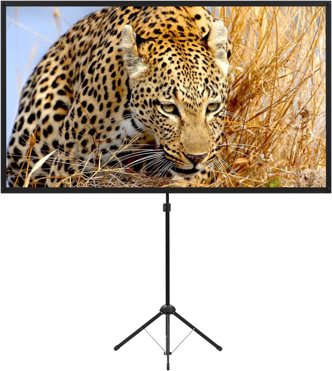 Draagbaar Projectiescherm - Filmscherm Buiten - Thuisbioscoop Creëren - Standaard Inclusief - 80 Inch 16:9