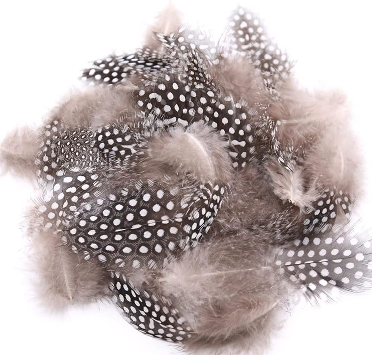 Natuurlijke Kippenveren voor Creatief Gebruik - 100 Stuks voor DIY Kunst, Sieraden, Dromenvangers en Haaraccessoires in Natuurlijke Kleur