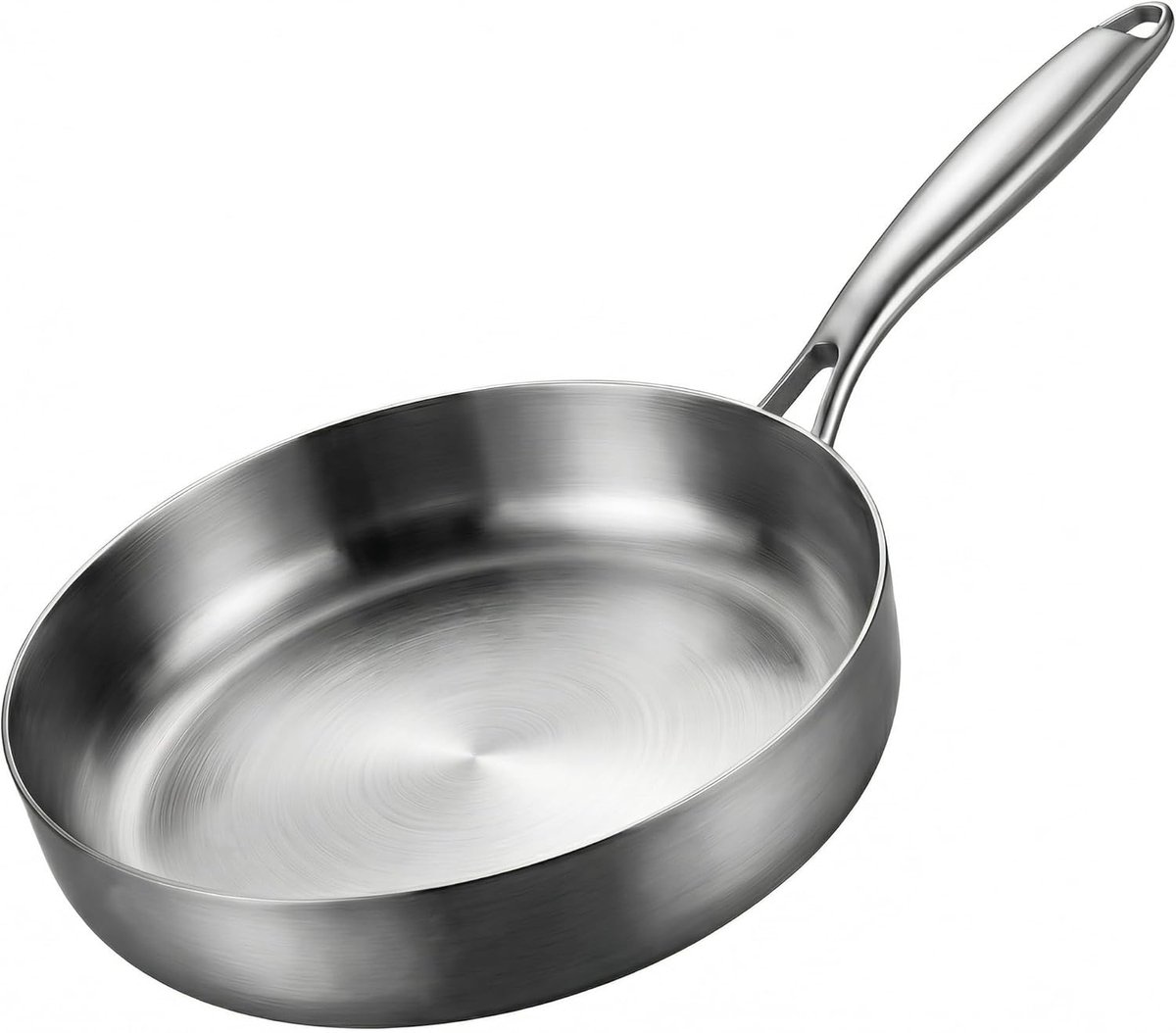 Roestvrijstalen Braadpan - Gelijkmatig Braden - Scherp Aanbraden - Alle Warmtebronnen - 24 cm