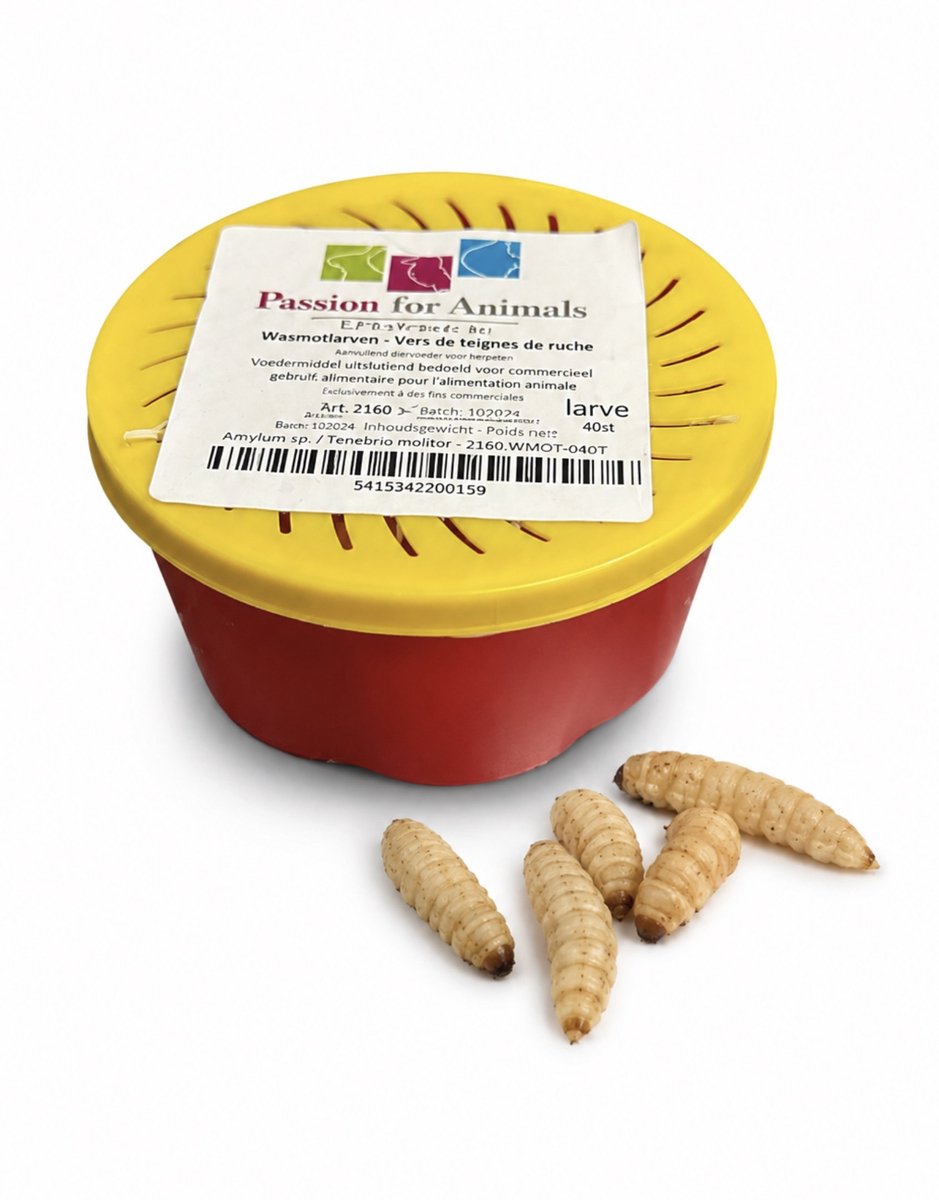 Repto Levende Wasmotten Bakje