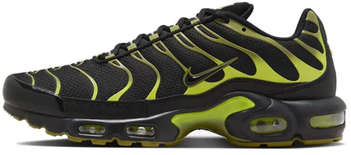 Nike air max plus ” ” DM0032-010 Pacific Moss