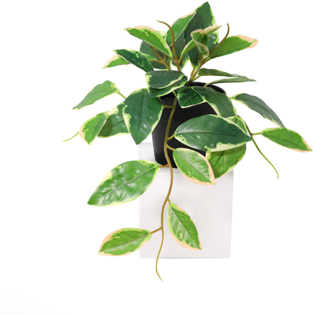 Trendyplants - Kunst Hoya Variegata - Bonte Wasbloem - Kunstplant - Hoogte 23cm - Potmaat Ø9cm