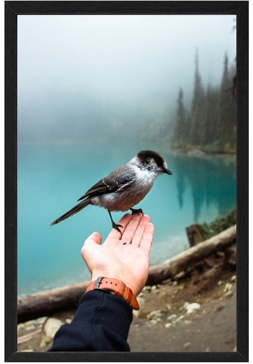 Houten Fotolijst 58x85 cm - 3 Kleuren Beschikbaar