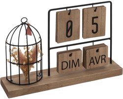 Kalender LUMY