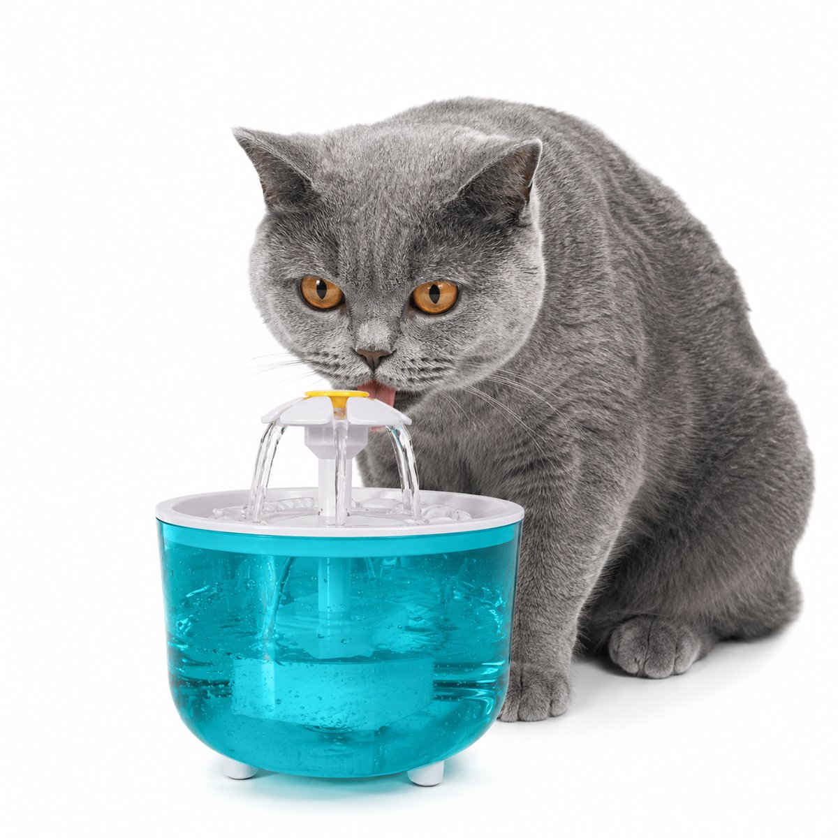 PolkaHome Kattenfontein met Bloemdesign – Automatische Waterdispenser voor Katten – USB Voeding – Transparant Blauw – Zonder Batterijen