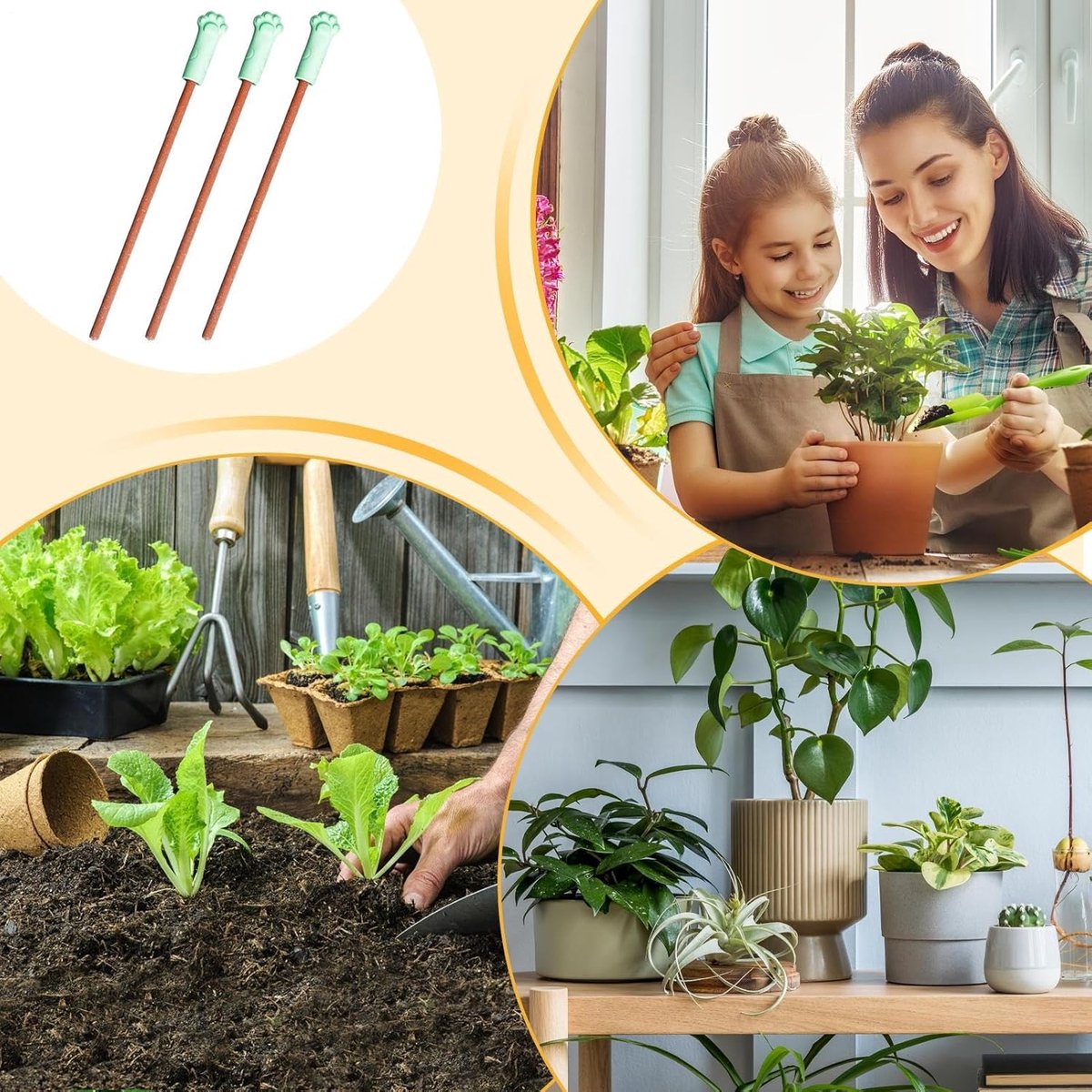 Bodemvocht Tester - Tuinmeter Set - Planten Verzorgen - Kleurindicator Technologie - 3 Stuks - Niet gespecificeerd