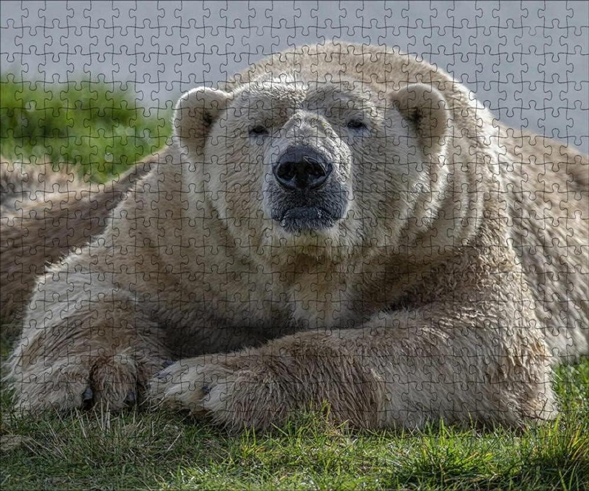 Houten Puzzel - Legpuzzel 1000 - Ontspannend Tijdverdrijf - Unieke Stukjes Vorm - 75x50 cm - Multicolor