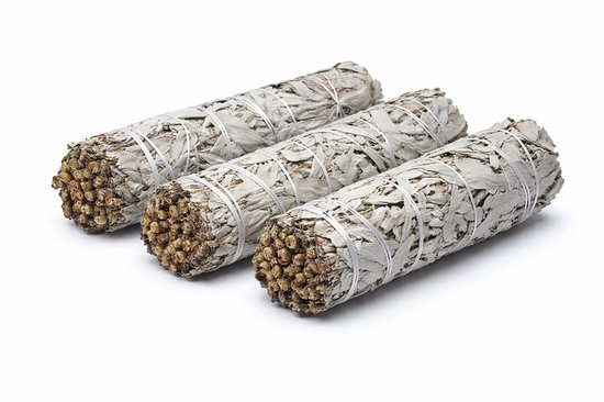 Native Soul Mini sauge blanche 10 pièces avec présentoir