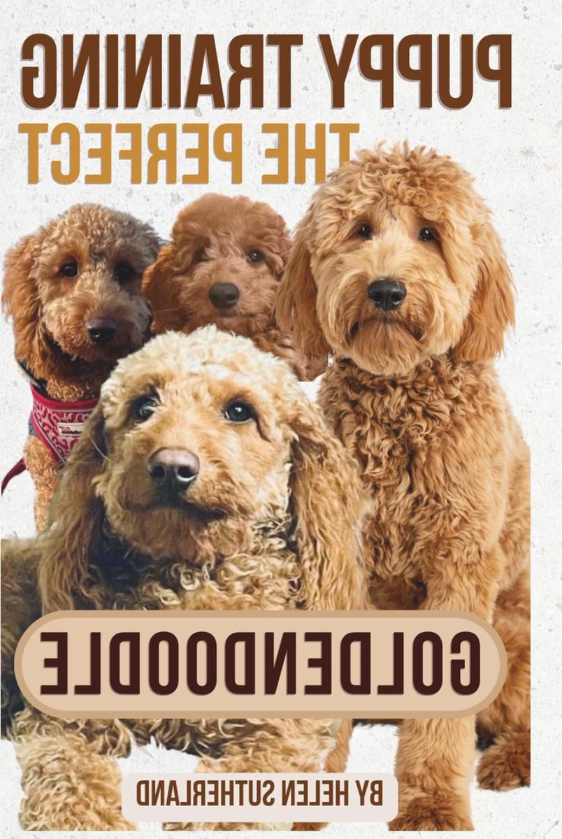 Puppy Training Gids - Honden Opvoeden - Puppy Gedrag Leren - Geduldige Methode - 160 pagina's - Niet van toepassing