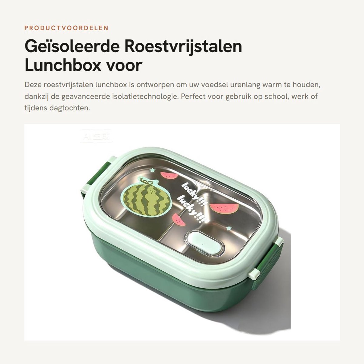 Dailygoods- Lunchbox Geïsoleerd - Roestvrijstalen Voedselcontainer - Lekvrij - 22,5x14,5x8cm - Gecompartimenteerd Ontwerp - Voor School/Werk