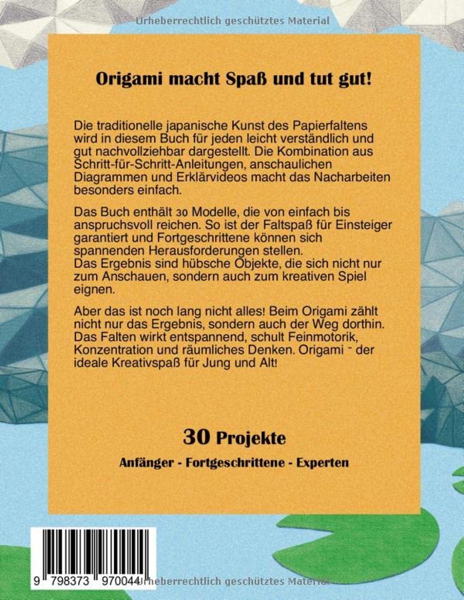Origami Boek - Papier Vouwen - Creatief Bezig Zijn - Stap-voor-stap - 102 Pagina's - Niet Van Toepassing