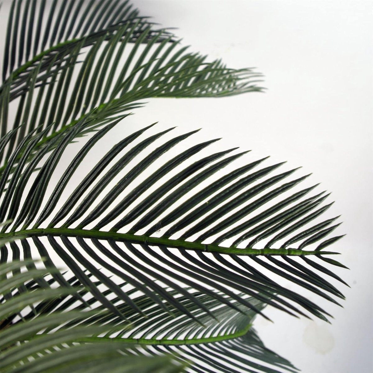 Kunstplant Cycas Palm - Tropische Vederpalm - Interieur Decoratie - Realistische Stamdetails - 80 cm Hoog - Groen