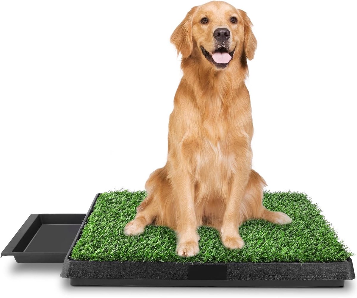Hondentoilet - Puppytoilet Trainingsmat - Zindelijkheidstraining Binnen - Wasbaar Gazon Design - 63 x 50 cm - Groen