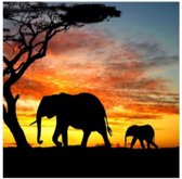 Olifant en kalf lopen in silhouet tijdens een levendige zonsondergang in Afrika, met een savanneboom.