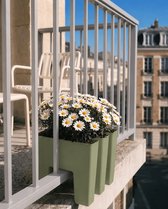 Vercony GreenUp - Jardinière pour Balcon - Pour Balcon à Barreaux - Plantation Intérieure et Extérieure - Recyclable - 30x36x30cm - Fabriqué aux Pays-Bas - Vert Olive