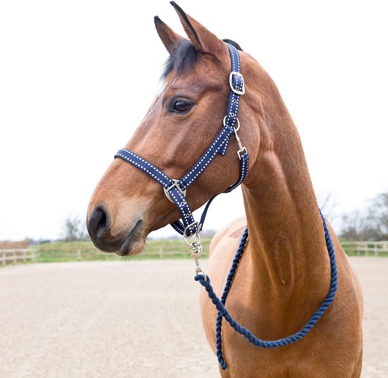 Halster en touwset voor paarden Horze Cooper Halster en touwset voor paarden Horze Cooper