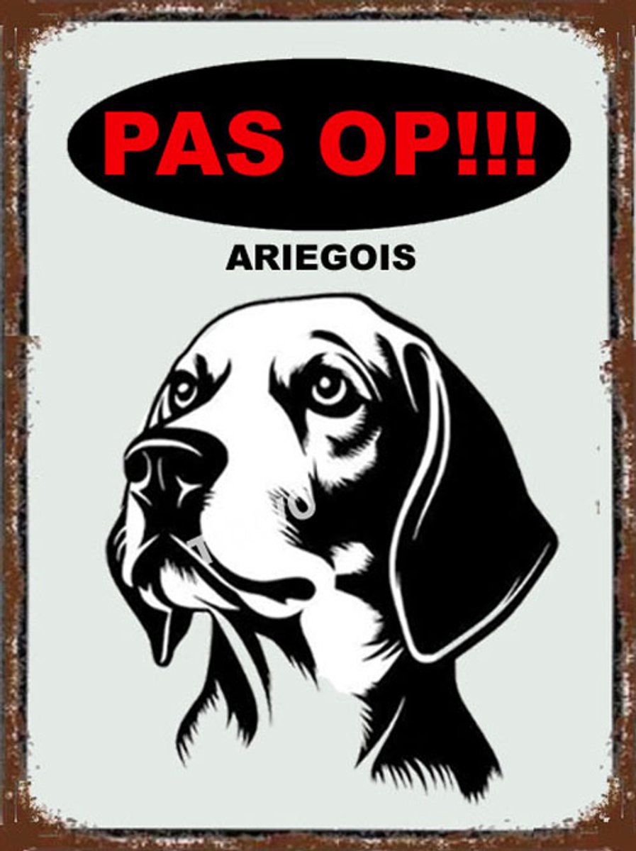 Ariégois 17