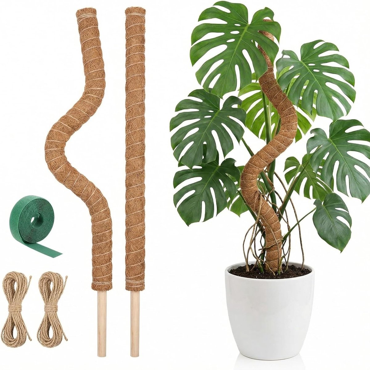 Klimhulp voor Monstera en andere klimplanten, 2 stuks, 80 cm flexibele kokos-plantenstok met accessoires, ideaal voor binnenshuis gebruik