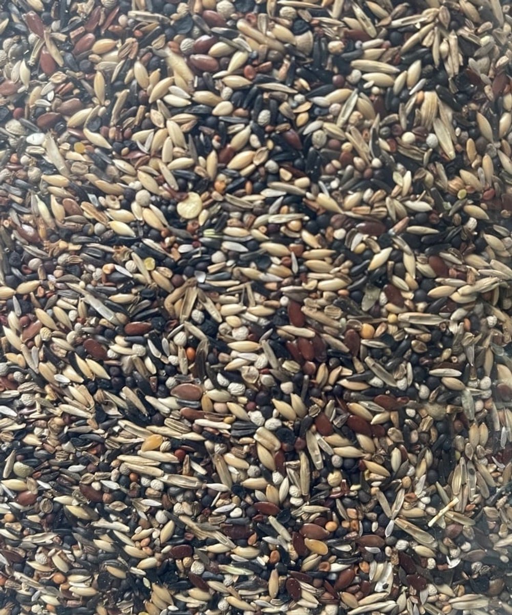 Jan Koenings Putters en Sijzenvoer nr. 3 - 5 kilo - Overige zaden - Vogelzaad - Vogelvoer - Kapoetsensijs (Carduelis cucullata)